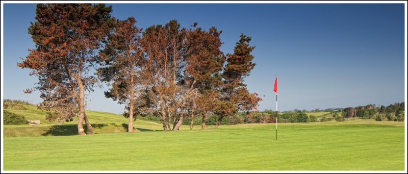 Aerial 360 panorama - Donaghadee Golf Club